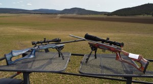 .17 HMR Shoot-off: Savage 93R17 vs. CZ 455