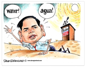 Little RINO Rubio