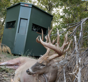 Hunting Blind Without Getting Bored