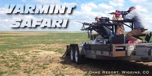 Sunday Gunday: Summer Varmint Trips — Guns, Ammo, Planning