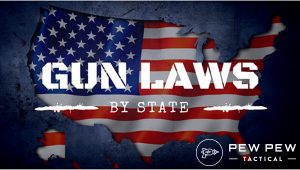 Know the Law — Here are Guides for Gun Laws in All 50 States