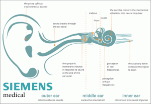 The Science of Human Hearing — And Effective Ear Protection