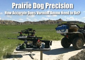 Varmint Hunting Ammo — How Accurate Does It Need to Be?