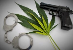 Dude, Appeals Court Rules Pot Use and Guns DO Mix…Kind Of