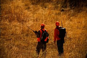 Deer hunting causes gun violence, researchers claim