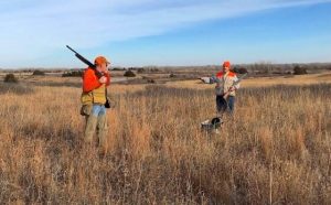 Hunting Expanded on Wildlife Refuges