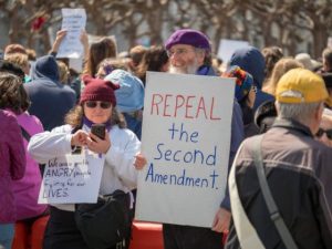 News Website Calls For Repeal of Second Amendment