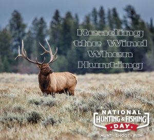 Hunting Lessons — Reading the Wind When Hunting