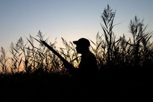 Wyoming Duck Hunter Says Fatal Shooting Was Accident